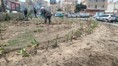 ميدان المحطة بالمحلة الكبرى