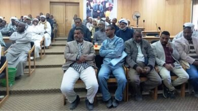 الحيز العمراني الجديد بأسوان