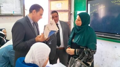 الدكتور أشرف العربي