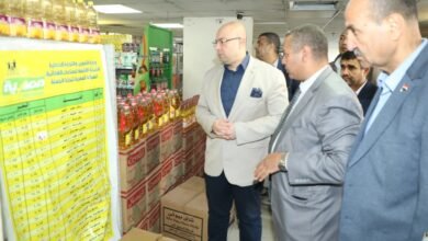 الشركة المصرية لتجارة الجملة