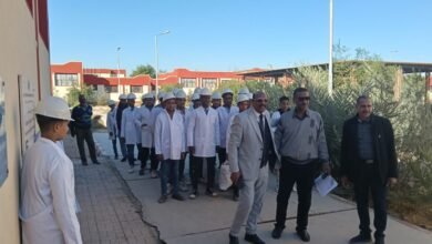 تأهيل الشباب لسوق العمل