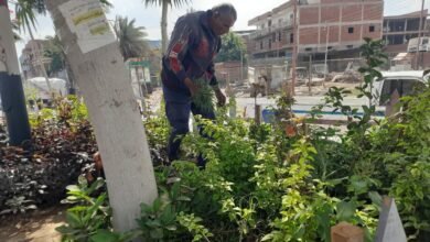 تشجير الغربية