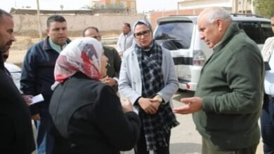 تطوير المنطقة الصناعية بالخارجة