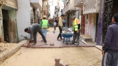 تطوير شوارع منيا القمح