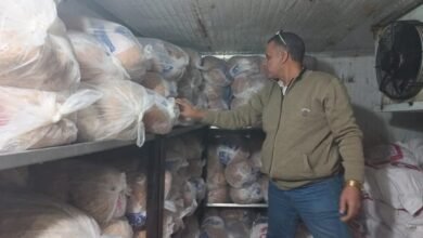 حملة تموينية بالجيزة