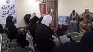 قضايا الأسرة المصرية