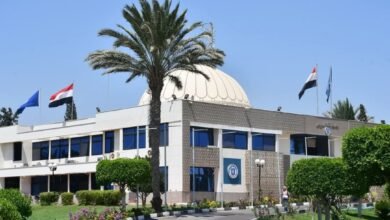 مبنى جامعة السويس