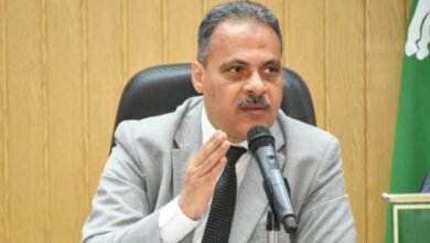 محافظ الشرقية