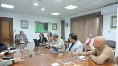 محافظ دمياط