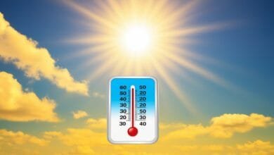 أخبار حالة الطقس غدا الخميس 2-1-2025