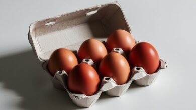 سعر البيض الأحمر اليوم للمستهلك 2-1-2025