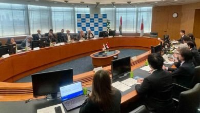 التعليم المصري