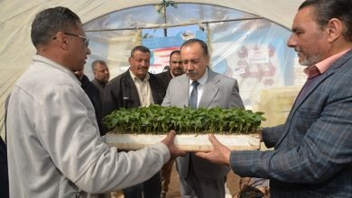 المحافظ يفتتح أول مشتل مدرسي لتعليم الأجيال المستقبلية