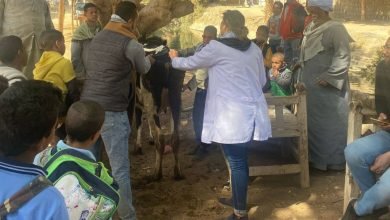 خدمات بيطرية شاملة لأهالي إسنا