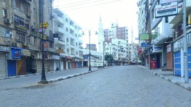 خطة للتشجير والنظافة في عروس الدلتا