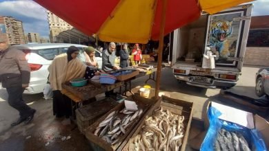 سوق اليوم الواحد بالمنصورة