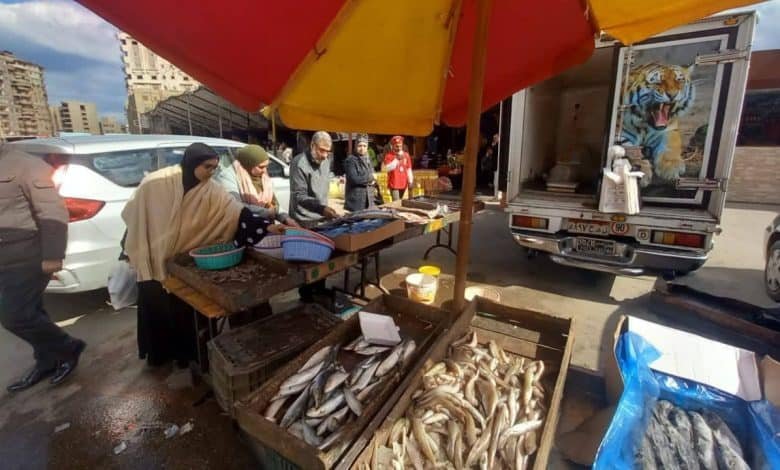 سوق اليوم الواحد بالمنصورة