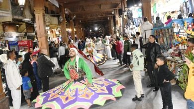 مهرجان أسوان الدولي 12