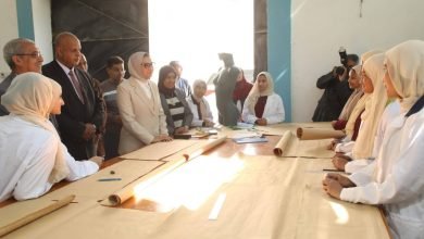 نجاح خطة التعليم المزدوج في الوادي الجديد