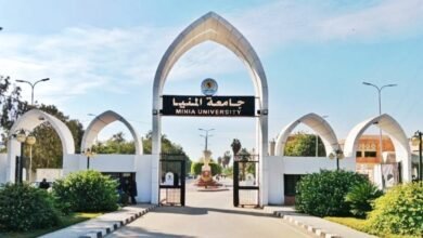 جامعة المنيا